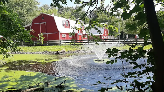 Red barns and trees reflected in the Seaway Kiwanis Animal Farm pond at Canatara Park
