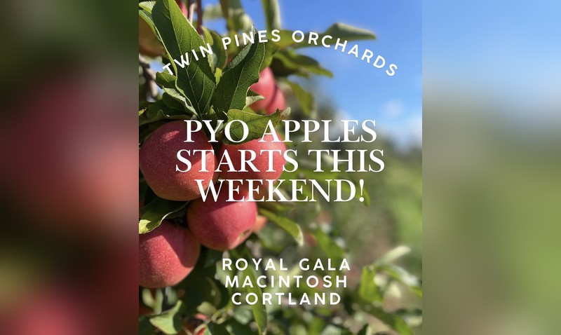 Apple Fest at Twin Pines Orchards
