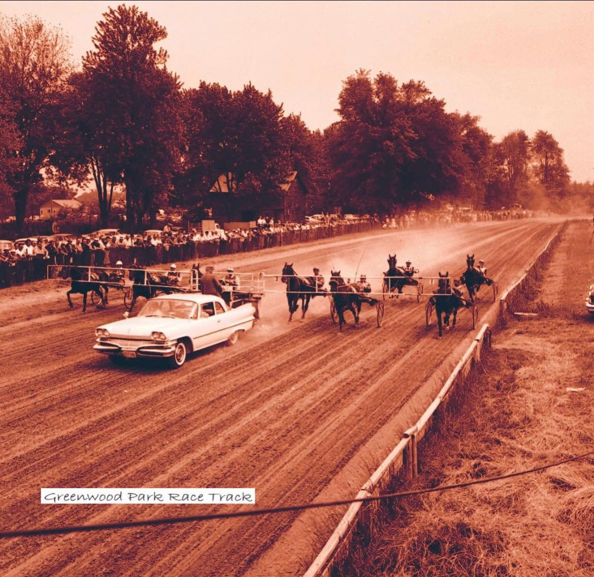 Petrolia Fall Fair