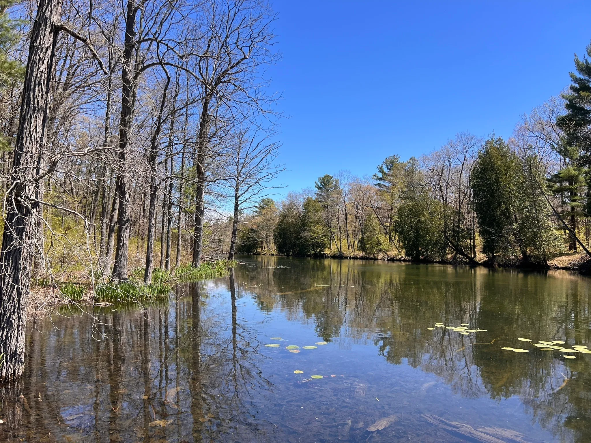 The Ausable River between wooded banks, calm and reflecting the trees and sky