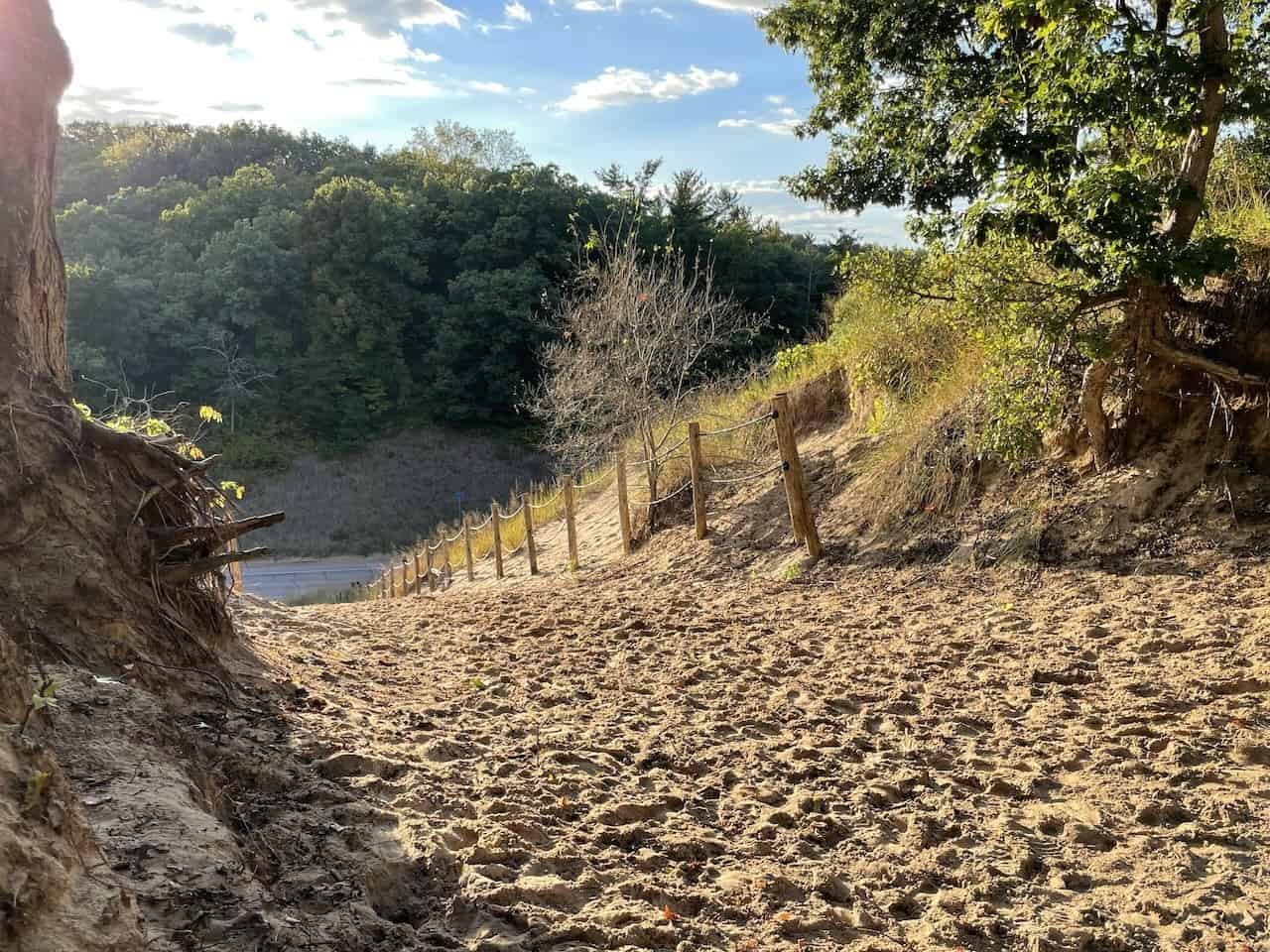 A sandy trail climbing the Big Hill dune at Port Franks between a rope fence and Carolinian forest