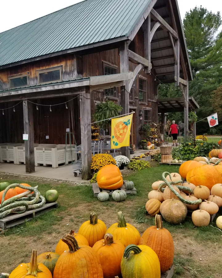 The wooden farm shop at Twin Pines Orchards, with pumpkins, gourds and mums displayed out front