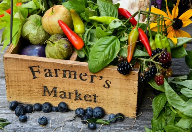 Plympton-Wyoming Farmers' Market