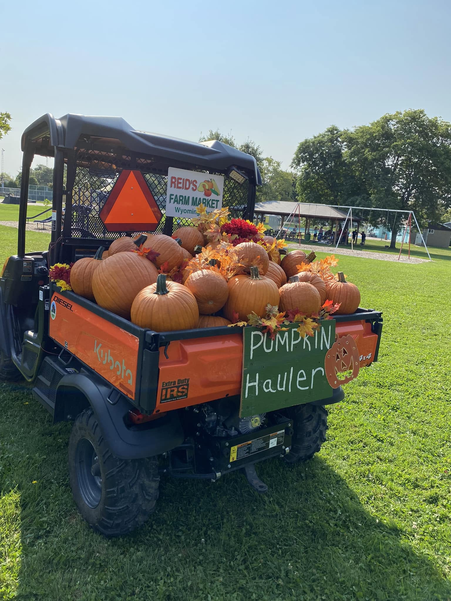 Pumpkins in an orange utility vehicle with a Reid’s Farm Market sign