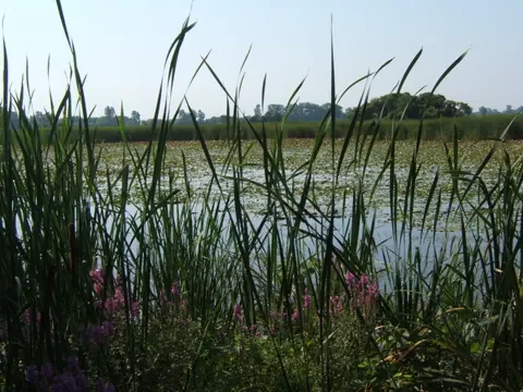 St. Clair National Wildlife Area