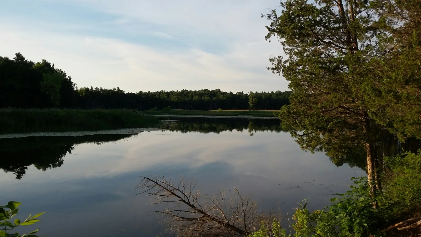 The still water of the Old Ausable Channel at Pinery Provincial Park mirroring a pale sky, with bare trees and reeds along both banks