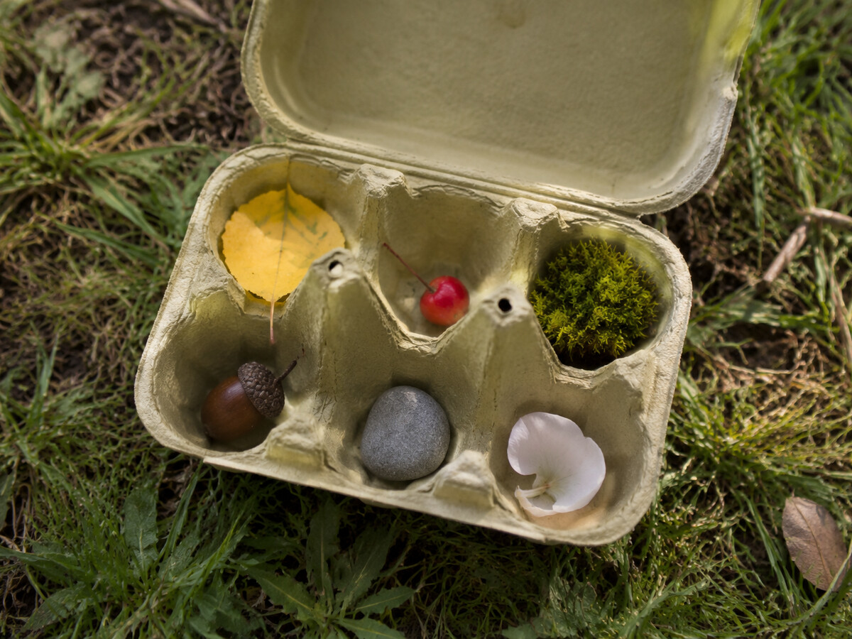 Nature colour hunt with small objects sorted in an egg carton