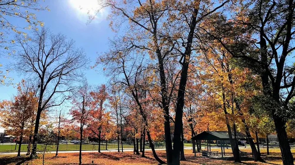 Autumn trees and pavilion at Wildwood Park in Bright’s Grove
