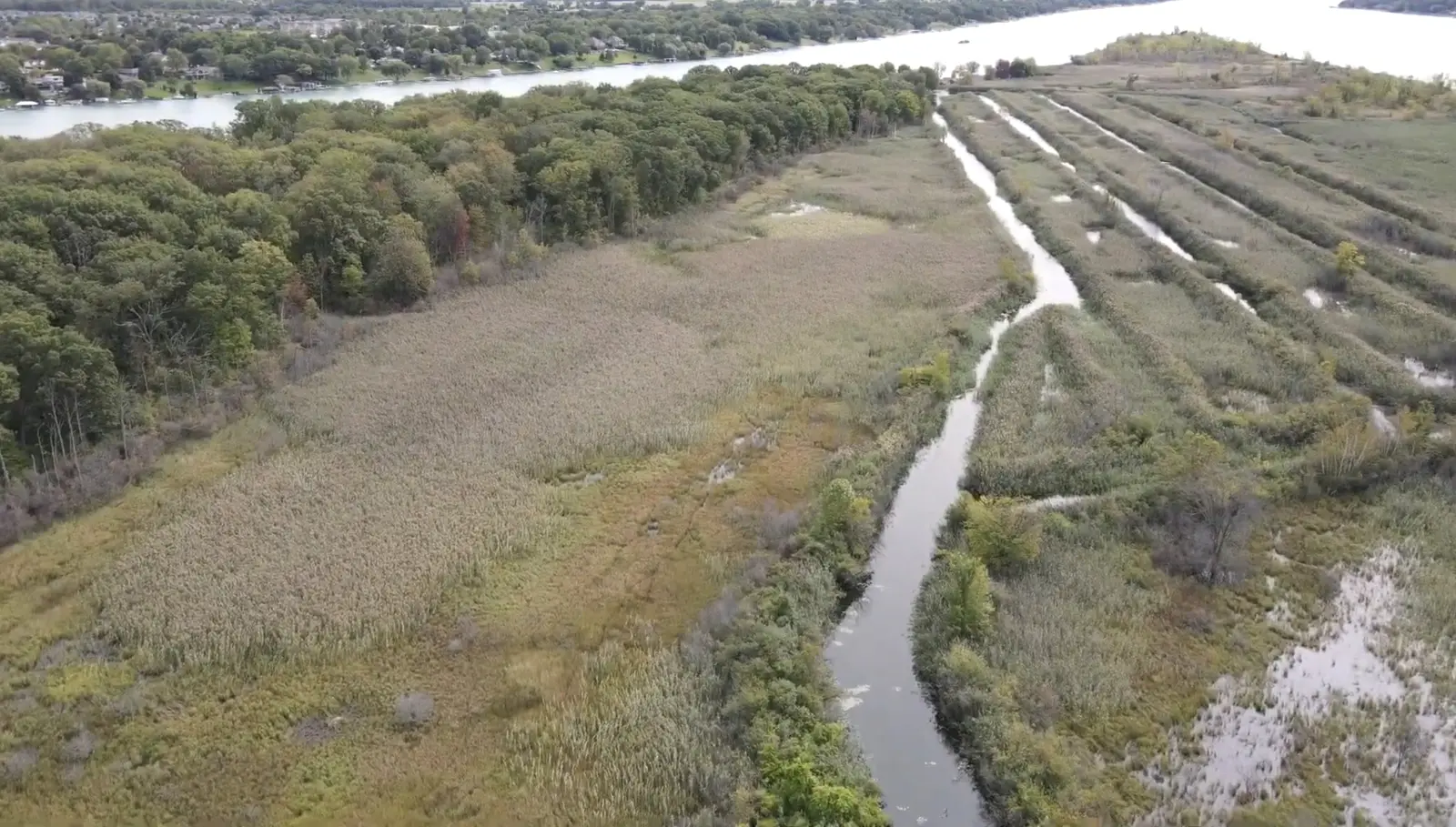 Aerial view of wetlands and winding channels on Stag Island
